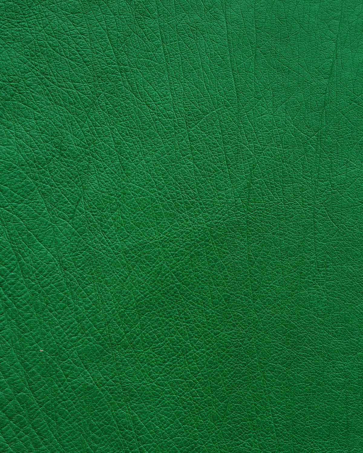 Чохол із зеленої шкіри страуса без фолікул для iPhone 13