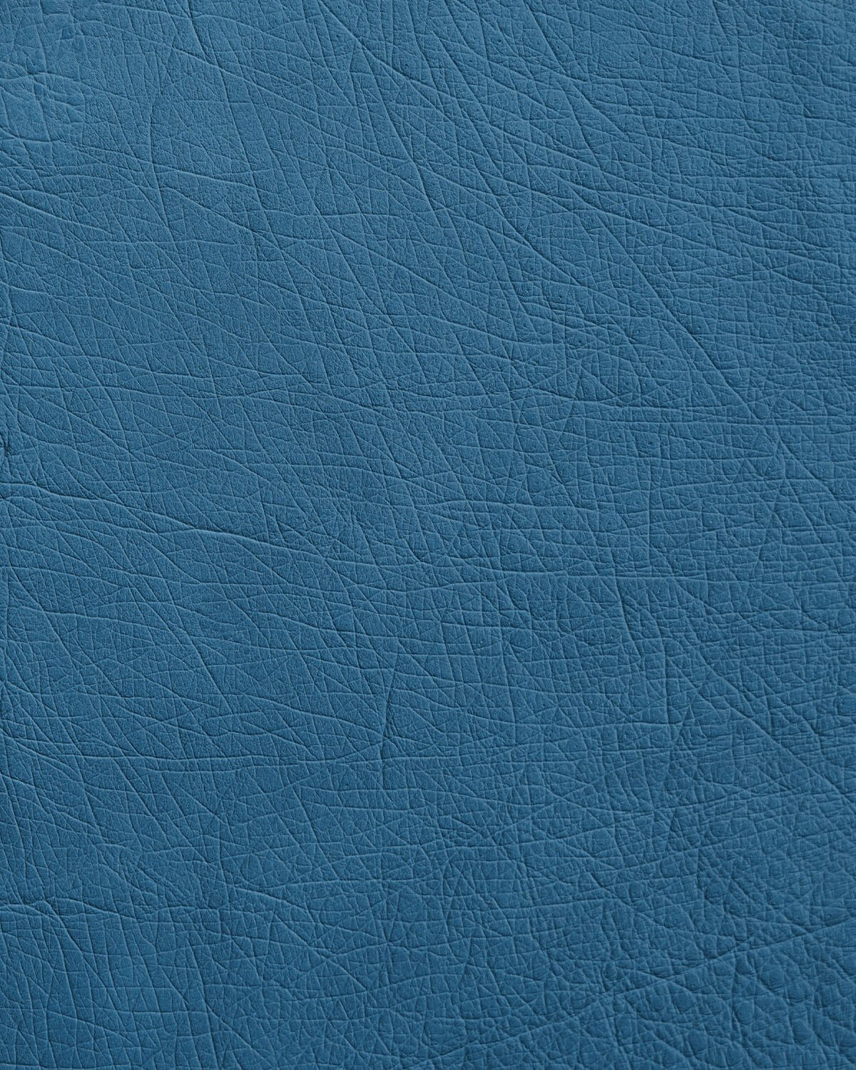 Чохол із блакитної шкіри страуса без фолікул для iPhone se2020